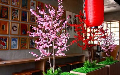 Zuma Istanbul: An Unforgettable Japanese Dining Experience