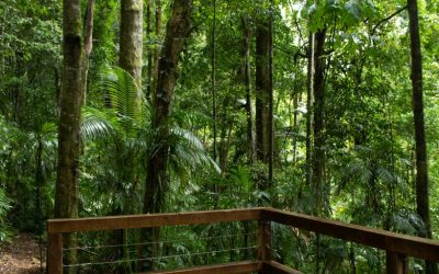 The Insider’s Guide to Costa Rica Luxury Hotels: Top Eco-Luxury Retreats for 2025