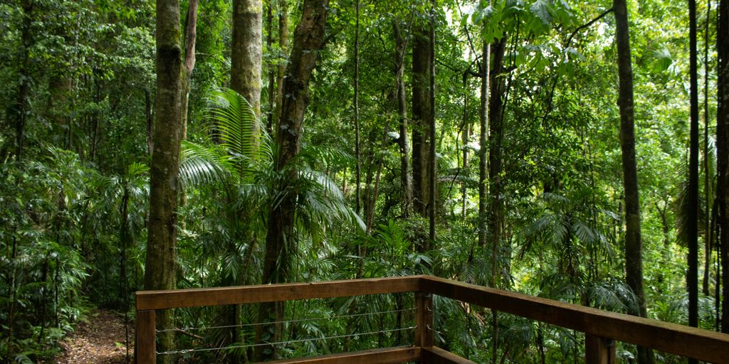 The Insider’s Guide to Costa Rica Luxury Hotels: Top Eco-Luxury Retreats for 2025